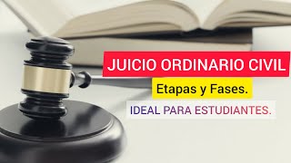 JUICIO ORDINARIO CIVIL ETAPAS Y FASES Ideal para Estudiantes [upl. by Rowley245]