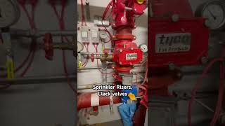 SPRINKLER risers clack valves  plant rooms tools trade DIY [upl. by Aliahs502]