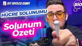 Hücresel Solunum 1  Hücresel Solunum Özeti  Ayt Biyoloji Konu Anlatımı 12 Sınıf  2024 [upl. by Ronny232]