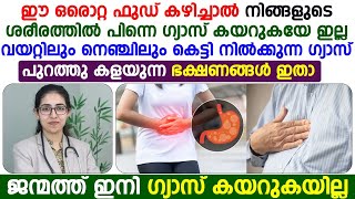 ഈ ഒരൊറ്റ ഫുഡ് കഴിച്ചാൽ ശരീരത്തിൽ പിന്നെ ഗ്യാസ് കയറുകയേ ഇല്ലGasTrouble MalayalamDr Sreya S Madhavan [upl. by Kari884]