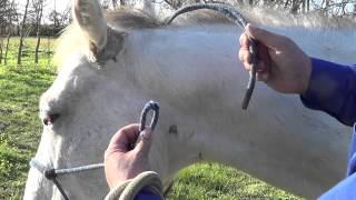 How to Properly Put a Rope Halter on Your Horse [upl. by Stephannie150]