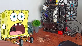 Cleaning PC  SpongeBob  Bob esponja en la vida real [upl. by Jago727]