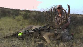 184quot Pope and Young Idaho Mule Deer  Switchback Outdoors [upl. by Arnulfo909]