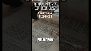 Bible Verse of the Day  Verse for Sunday April 21 history bookofgenesis biblebook bible [upl. by Leary410]