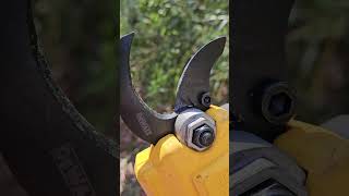 Update Dewalt electric pruners vs bamboo 6 hours of use solidbamboo [upl. by Acenes747]