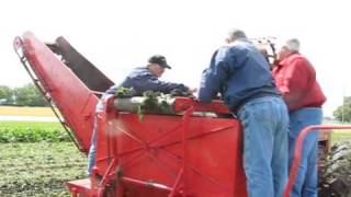 Old TIme Sugarbeet wheat harvest festival [upl. by Gottlieb]