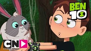 Ben 10  Pet Pleasure  Cartoon Network Africa [upl. by Yziar1]