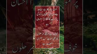 خوف ہے اگلے مرحلوں کا [upl. by Neiluj]