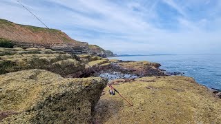 Lure fishing on Filey Brigg [upl. by Bucky908]