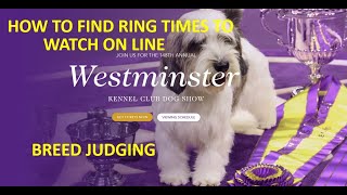 How to Watch Westminster Breed Judging How to Find the Ring Number and Time [upl. by Ellenad44]