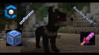 Reaching Wolf slayer 6 Craftersmc skyblock [upl. by Eselehs]