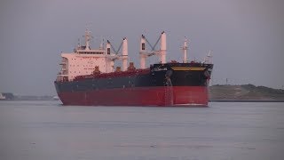 Scheepvaart in Rotterdam  Shipspotting  Hoek van Holland  Nieuwe Waterweg [upl. by Richy]