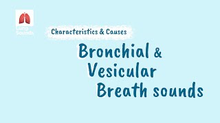 Breath Sounds  Vesicular vs Bronchial [upl. by Wise536]