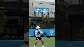 Herbert To Parham At Minicamp [upl. by Rawden]