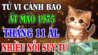 Vận Trình Tháng 11 Âm Lịch Tuổi ẤT MÃO 1975 Xui Xẻo Đeo Bán Tiền Bạc Bay Sạch Rất Khổ [upl. by Atiragram]