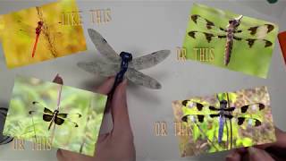 Learn to Sculpt a Polymer Clay Dragonfly [upl. by Ikkaj]