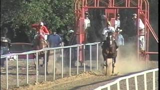 Carreras de caballos en chicago [upl. by Kata160]