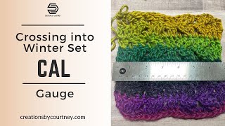 Free Crochet Along Crossing into Winter Set January 2024 [upl. by Lleder]