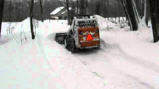 Bobcat in deep snow [upl. by Narmis974]