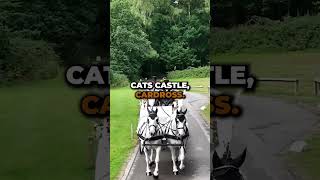 Castles to Rent in Scotland on AirBNB shorts [upl. by Cired]