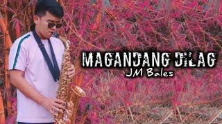 Magandang Dilag by JM Bales  Saxophone Cover [upl. by Aerdnahs]