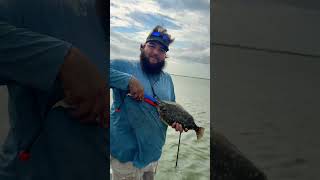 First flounder on my boat texas fishing rockporttexas [upl. by Luisa]