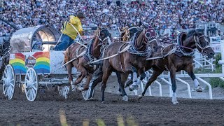 World 1 WPCA Chuckwagon Driver Rae Croteau JR [upl. by Phila]