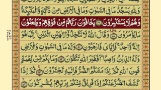 QuranPara1430Urdu Translation [upl. by Ahrendt]