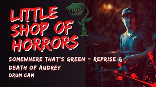 Little Shop Of Horrors musical  Somewhere Thats Green  Reprise amp Death Of Audrey  Drum cam [upl. by Novat]