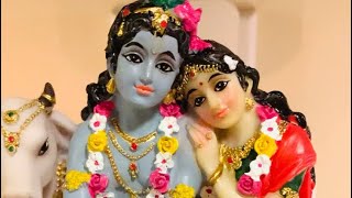 Krishna Janmashtami celebrations at home 🙏🏽 Sweet recipes will follow in the next videos [upl. by Stoll]