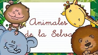 Animales de la SELVA en ESPAÑOL para niños [upl. by Attekal]