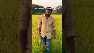 Ee Sundara Beladingala Cover song youtubeshorts spb kannadamelody melodysongs trending [upl. by Lerad]