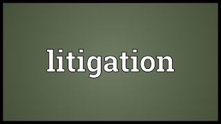 Litigation Meaning [upl. by Lilas]