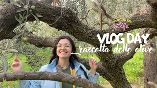 VLOG DAY 1 — raccolta delle olive [upl. by Colley966]