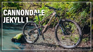 Cannondale Jekyll 1 Long Term Review  High Pivot Mountain Bike Test [upl. by Lemrej464]