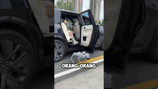 Robot Anjing Ini Sangat Berguna ‼️shorts [upl. by Gery579]