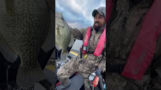 Biggest Crappie I’ve Ever Caught crappie crappiefishing giantfish I love these BUBBA scales [upl. by Stearne535]