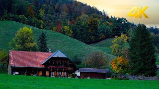 Switzerland 🇨🇭 scenic evening walk in beautiful Ruti bei Riggisberg fall 2022 [upl. by Oiraved490]