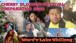 Shillong Cherry Blossom Festival Preparation 2024  Wards Lake Shillong [upl. by Pacian]