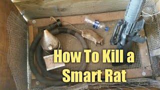 How to Kill a Smart Rat  Without Poisoning Your Own Animals amp Property [upl. by Dreher]