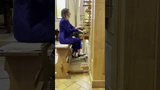 Felix Mendelssohn Bartholdy  Organ Sonata Nr 3 in A Major  Els Biesemans [upl. by Ihana]