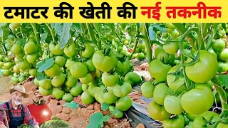 गर्मी के मौसम में टमाटर की खेती की संपूर्ण जानकरी  Tomato Farming 6242  1057  Ansal  Saaho 3150 [upl. by Toll296]