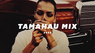 Tamahau  Rebel Musique Mix Vol 1 [upl. by Alemap]