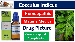 Cocculus Indicus Homeopathic Medicine  Drug Picture  Materia Medica bhms [upl. by Babcock778]