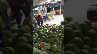 Feira livre de frutas e verduras Águas Belas PE [upl. by Rawden914]