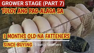 GROWER stage Part 7 Tuloy pag alaga sa 3 months old na fatteners since buying l Dodong Villaran [upl. by Assilev]