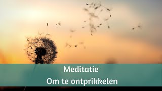 Meditatieoefening om te ontprikkelen [upl. by Nacim]