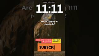 1111 ANGEL NUMBER Meaning Explained 1111 angelnumbers numerology shorts eleven spirituality [upl. by Alyam]