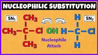 Nucleophilic Substitution Reactions  SN1 Reaction and SN2 Reaction [upl. by Ohs]