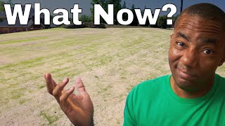 What comes after Top Dressing and Leveling Your Lawn [upl. by Eninnaej]